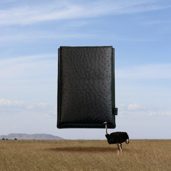 Black Ostrich